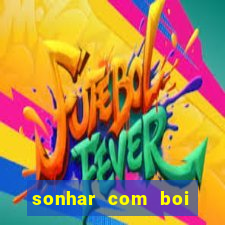 sonhar com boi branco jogo do bicho